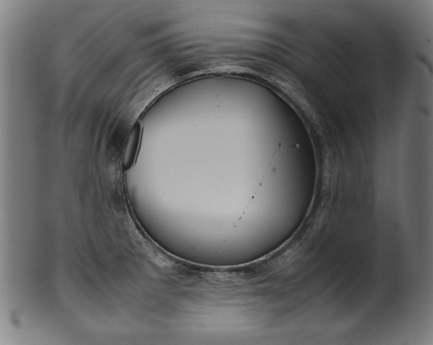 X0000099941281200806061509