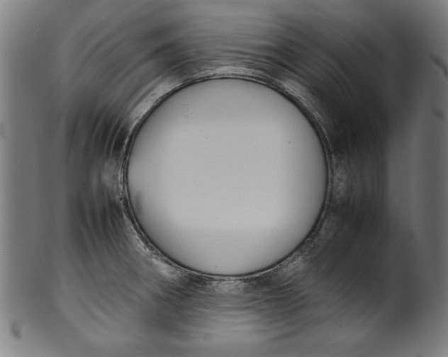 X0000099941282200806061509