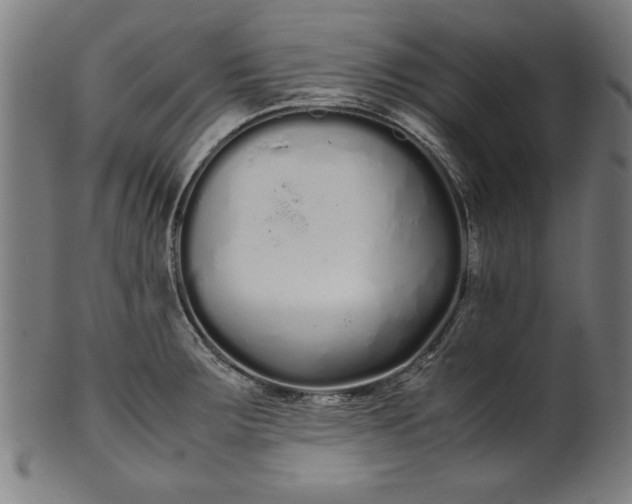 X0000099941283200806061509