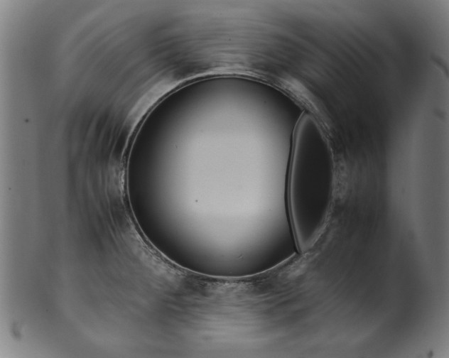 X0000099941284200806061509