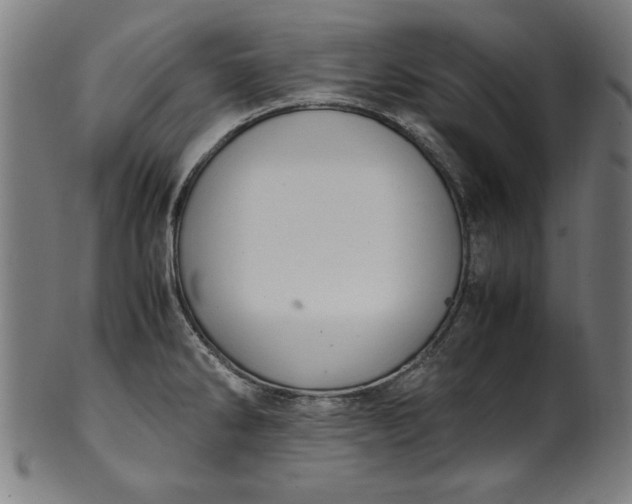 X0000099941286200806061509