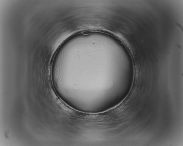 X0000099941287200806061509