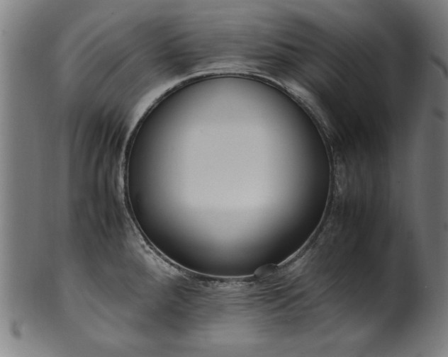 X0000099941288200806061509