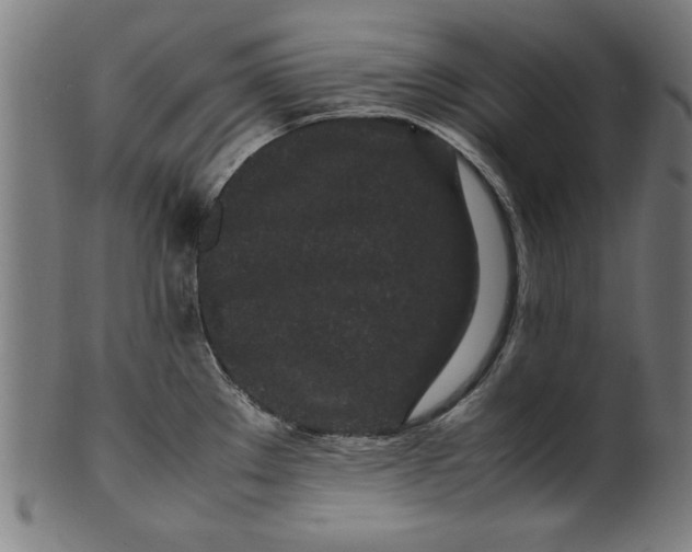 X0000099941289200806061509