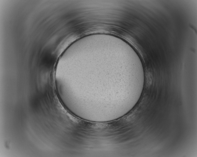 X0000099941290200806061509