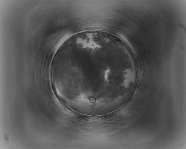X0000099941291200806061509