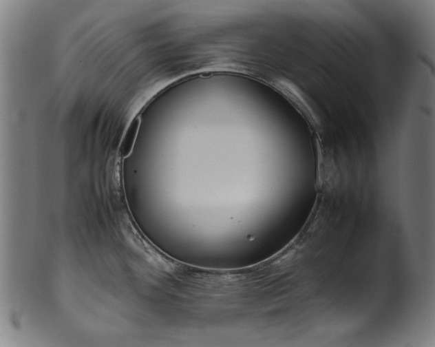 X0000099941292200806061509