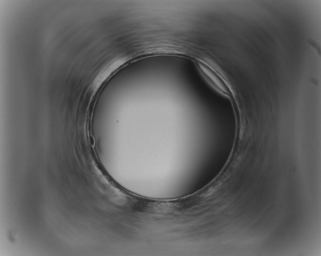 X0000099941293200806061509