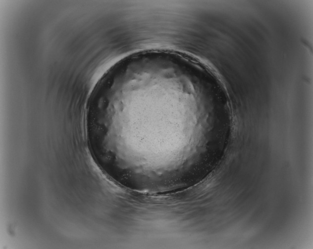 X0000099941295200806061509