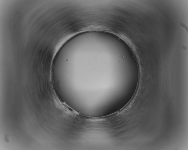 X0000099941296200806061509