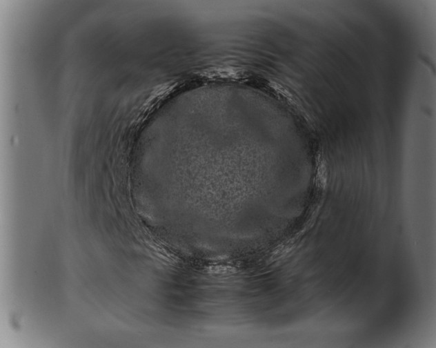 X0000099941297200806061508