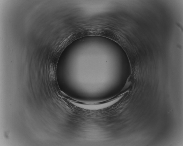 X0000099941298200806061508