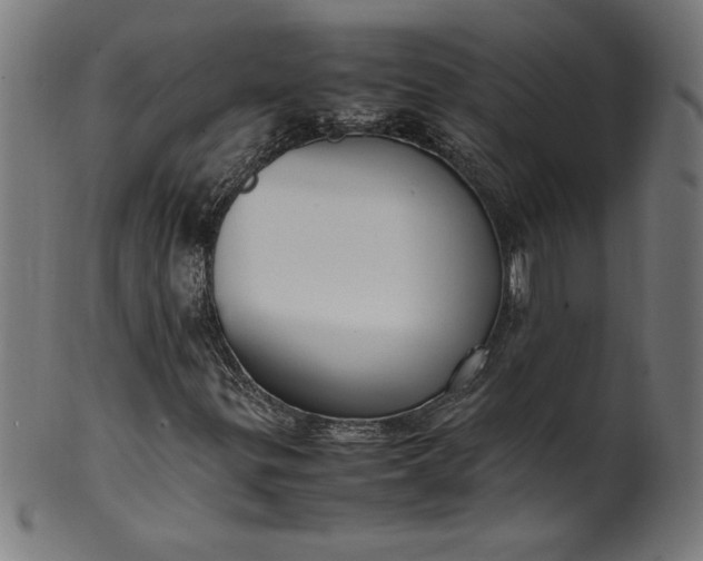X0000099941299200806061508