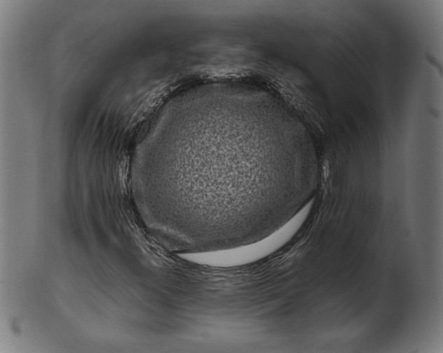 X0000099941300200806061508