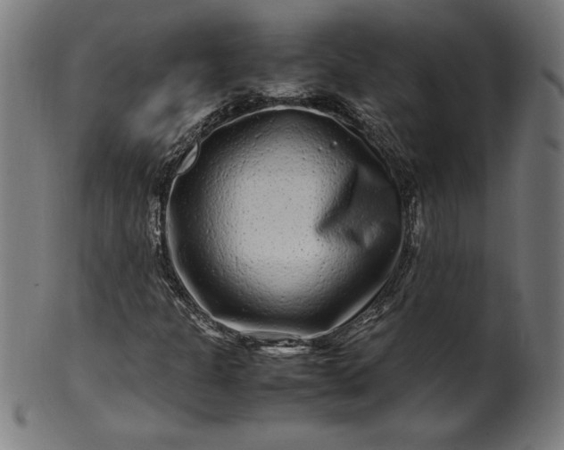 X0000099941301200806061508