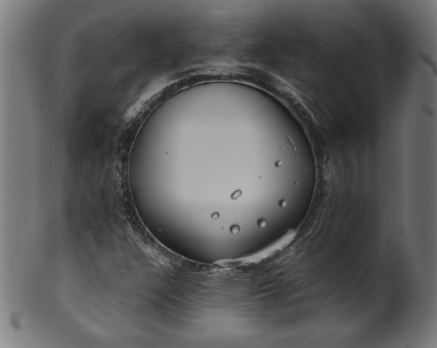 X0000099941304200806061508