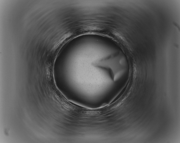 X0000099941305200806061508