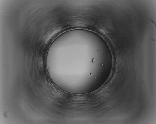 X0000099941307200806061509