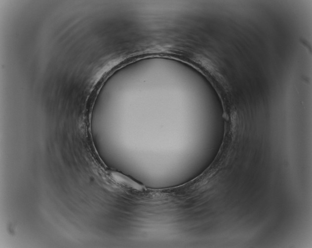 X0000099941308200806061509