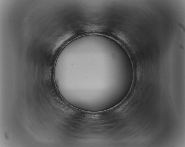X0000099941309200806061509