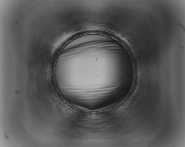X0000099941311200806061509