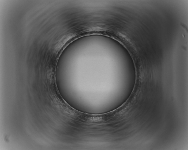 X0000099941313200806061509