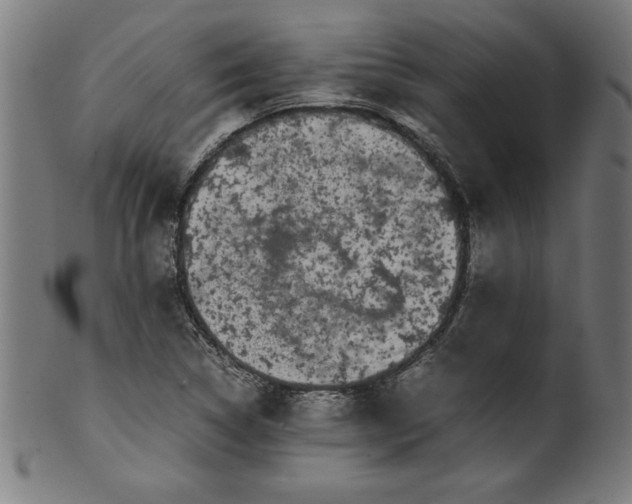 X0000099941314200806061509