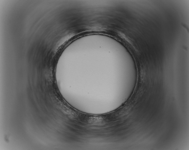 X0000099941315200806061509