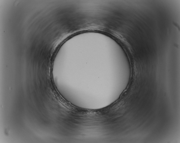 X0000099941316200806061509