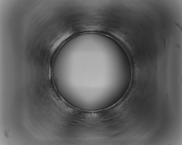 X0000099941317200806061509