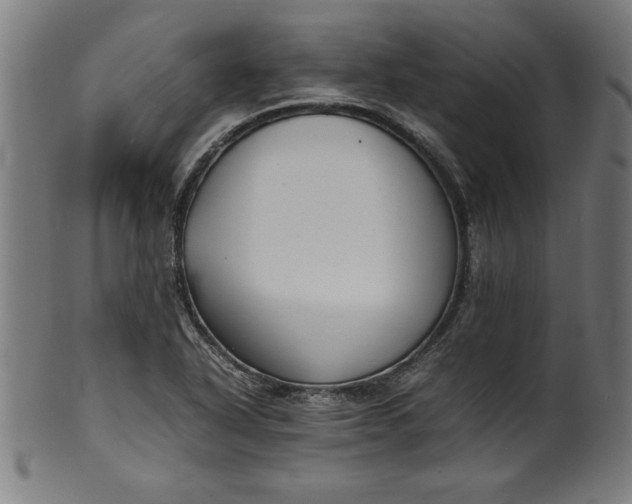 X0000099941318200806061509