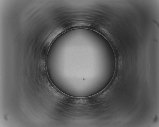 X0000099941321200806061509