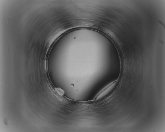 X0000099941324200806061509