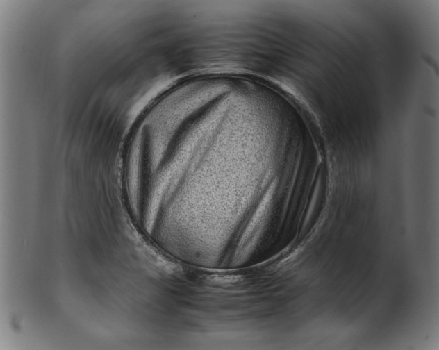 X0000099941325200806061509