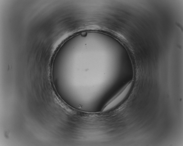 X0000099941326200806061509
