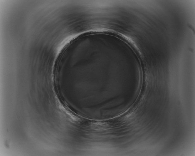 X0000099941327200806061509