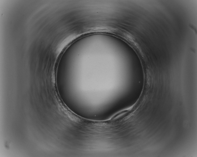 X0000099941328200806061509