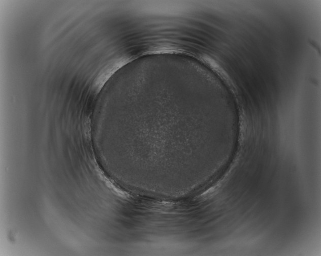 X0000099941329200806061509