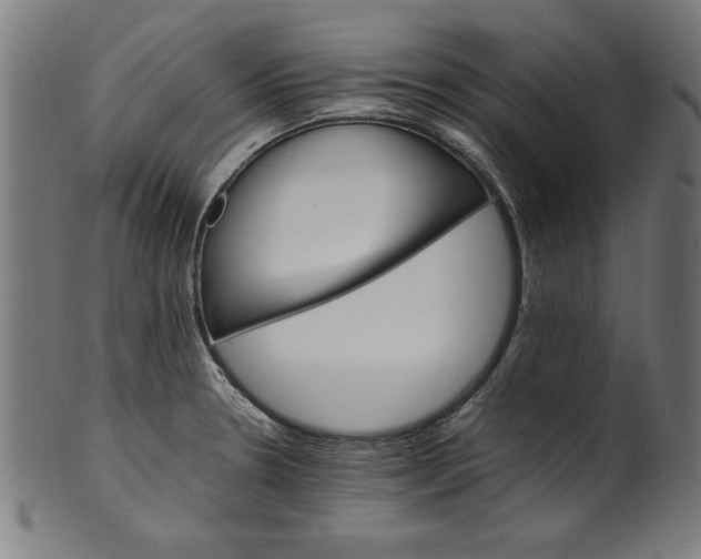 X0000099941330200806061509