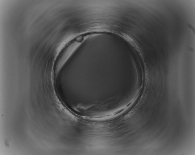 X0000099941334200806061509