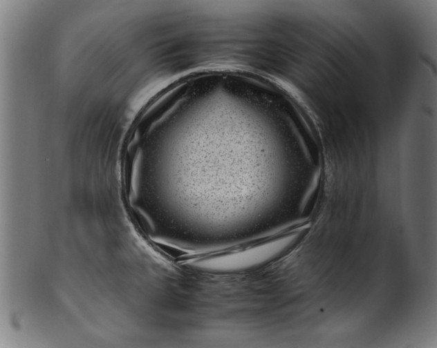 X0000099941335200806061509