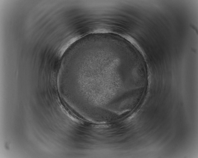 X0000099941337200806061509