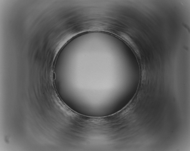 X0000099941340200806061509