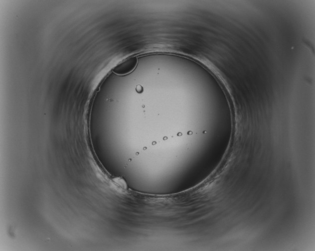 X0000099941341200806061509