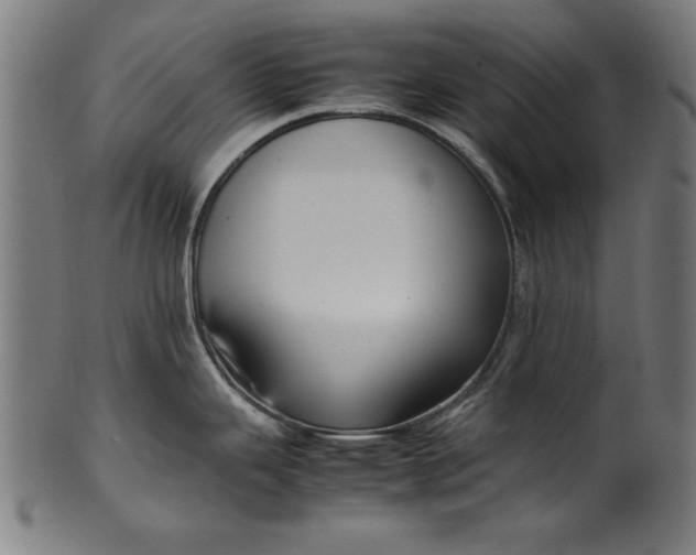 X0000099941343200806061509
