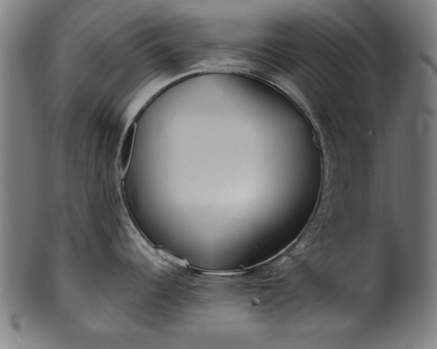 X0000099941344200806061509