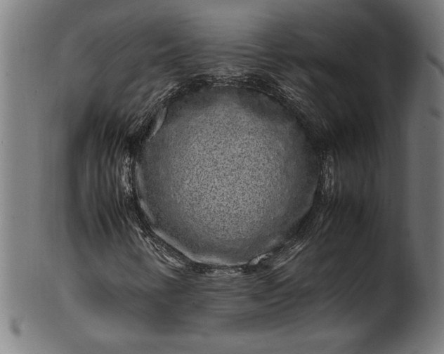 X0000099941346200806061508