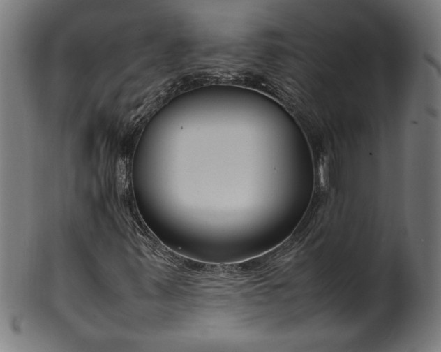 X0000099941347200806061508