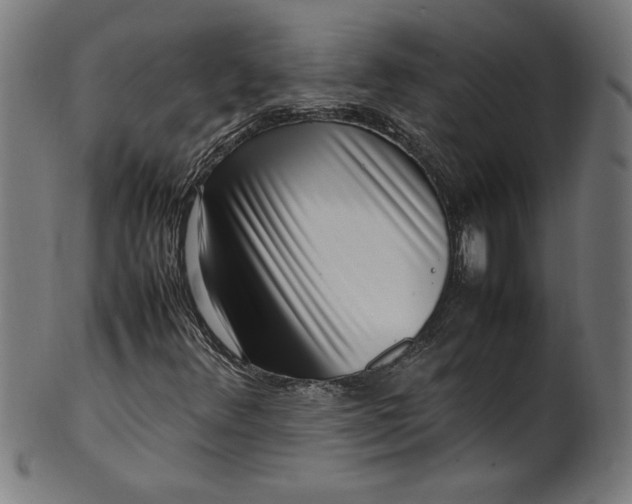 X0000099941348200806061508