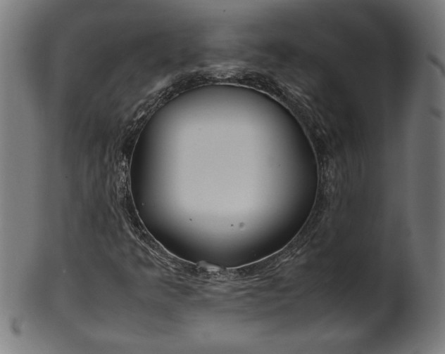 X0000099941349200806061508